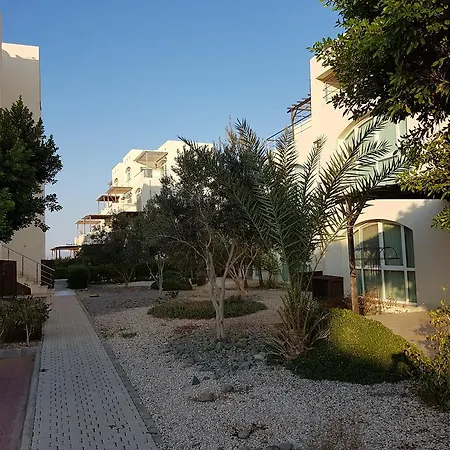 Daire Aphrodite Beachfront Penthouse *