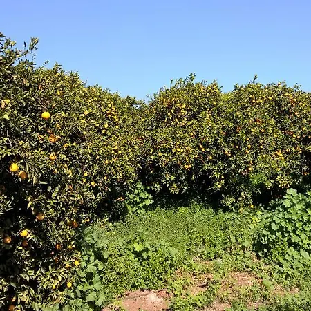 Daire Aphrodite Beachfront Penthouse *