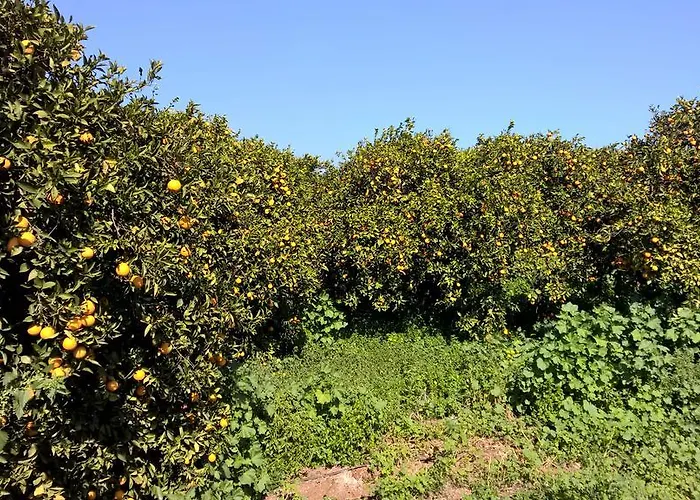 Apartamento Aphrodite Beachfront Penthouse *